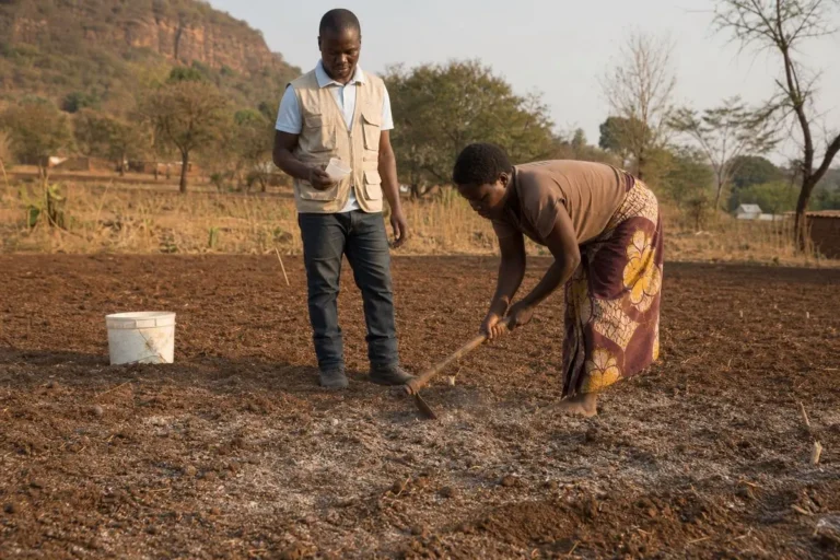 How to Test and Improve Soil pH in Malawi, supporting image 2